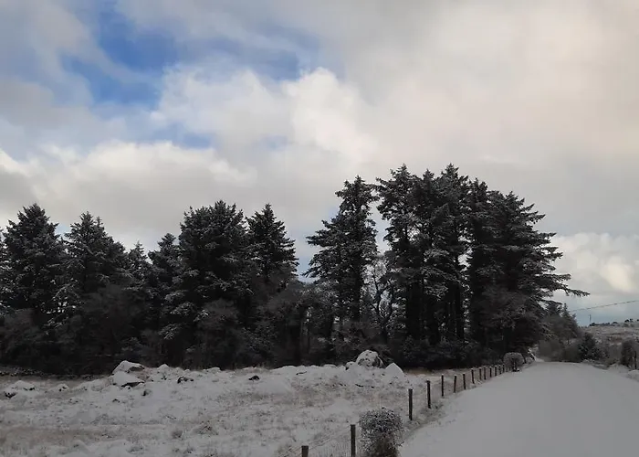 Back2roots - Beautifully Restored Cottage, Doochary